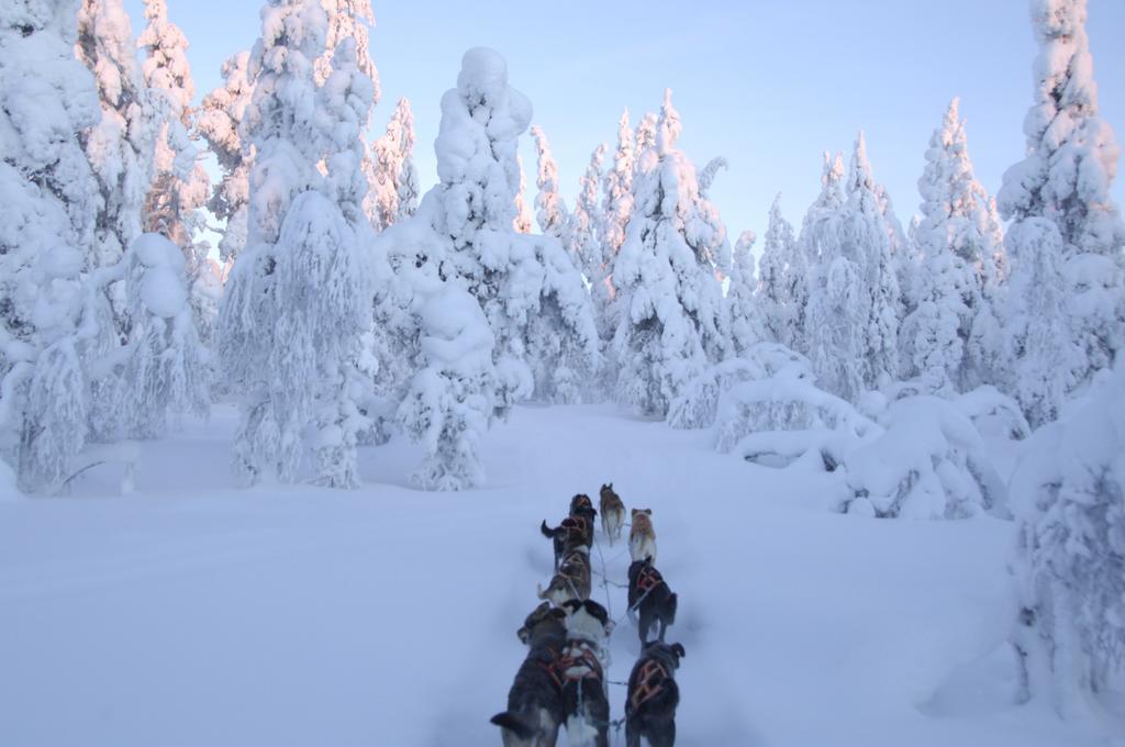 Guesthouse Husky Ivalo Dış mekan fotoğraf