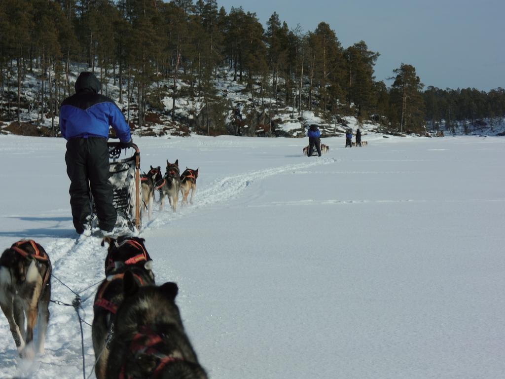 Guesthouse Husky Ivalo Dış mekan fotoğraf