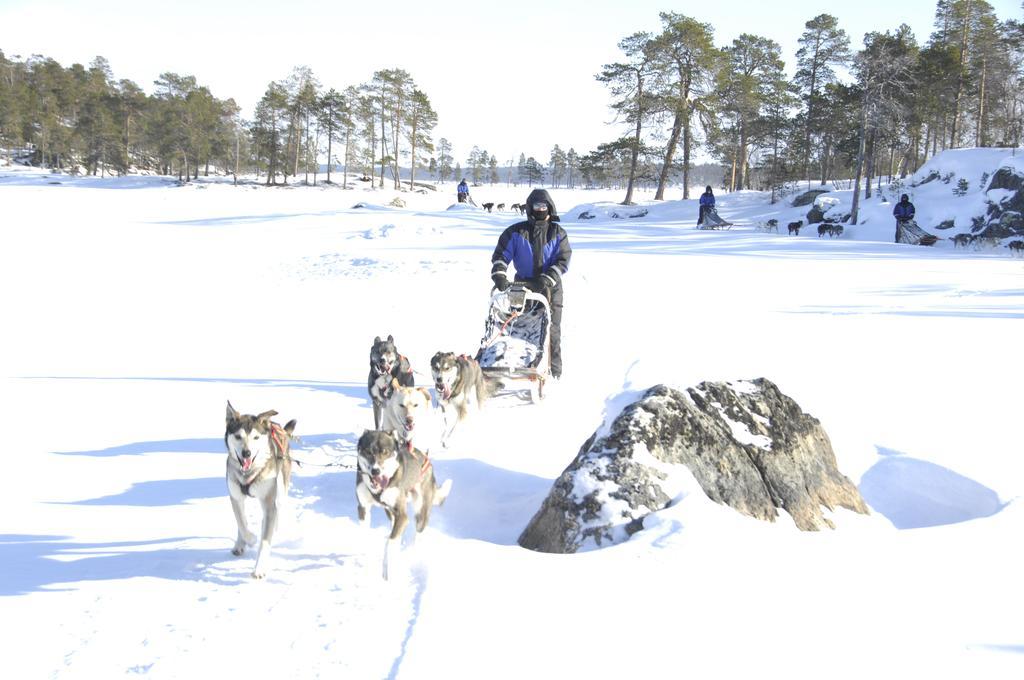 Guesthouse Husky Ivalo Dış mekan fotoğraf